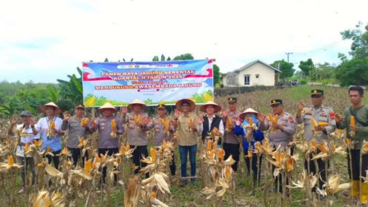 Polres OKU Dukung Swasembada Pangan 2026 Gelar Panen Raya Jagung Serentak Kuartal II Tahun 2026
